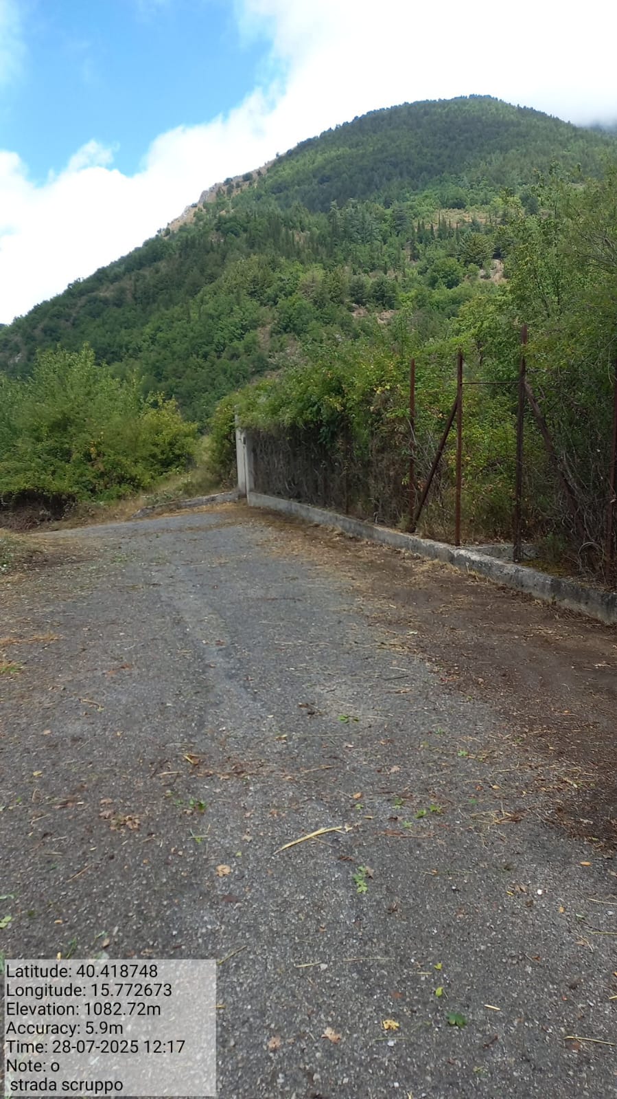 Galleria Fotografica Immagine