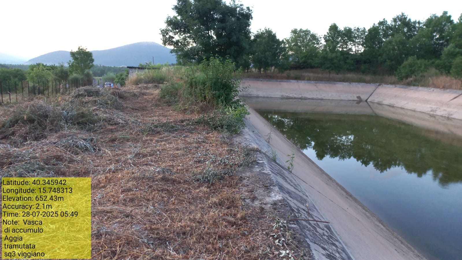 Galleria Fotografica Immagine