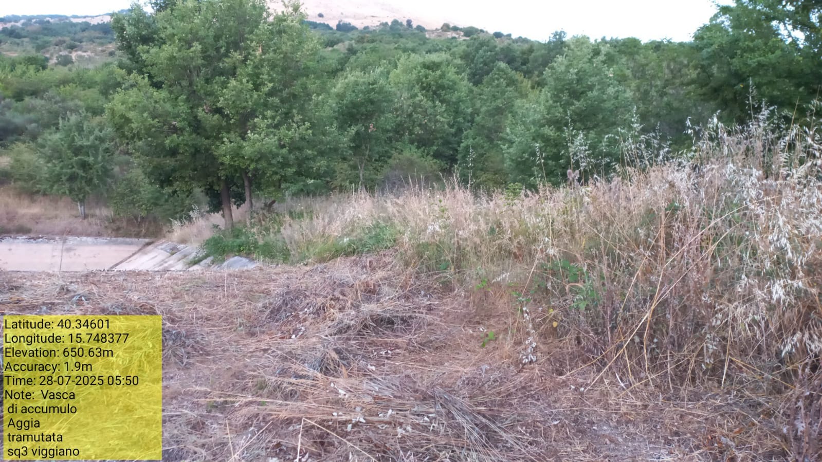 Galleria Fotografica Immagine