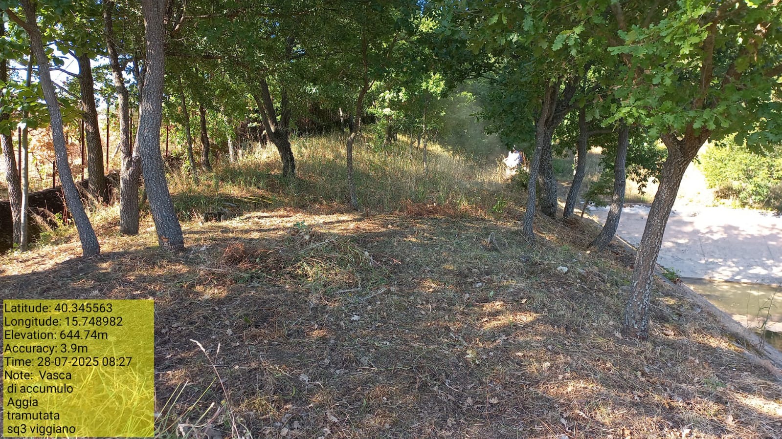 Galleria Fotografica Immagine