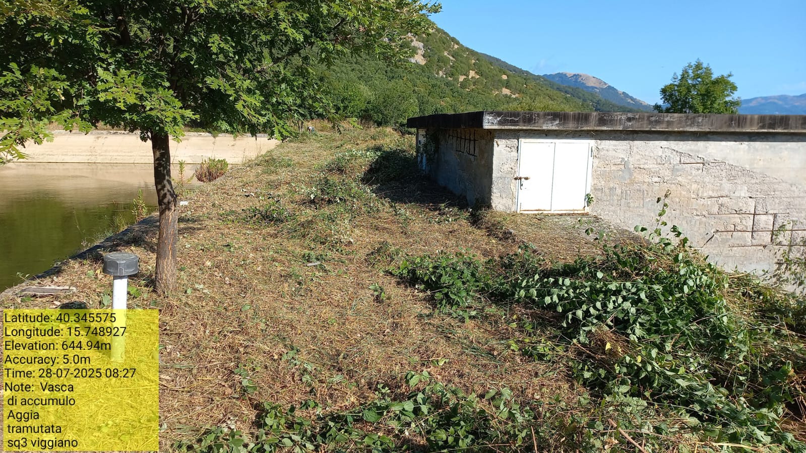 Galleria Fotografica Immagine