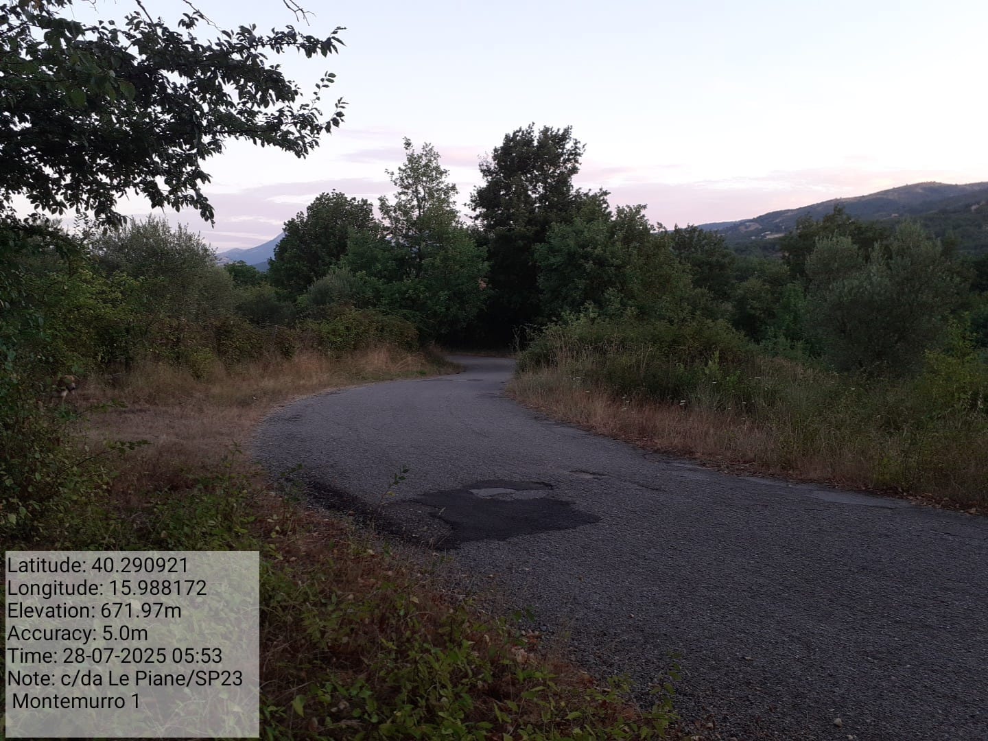 Galleria Fotografica Immagine