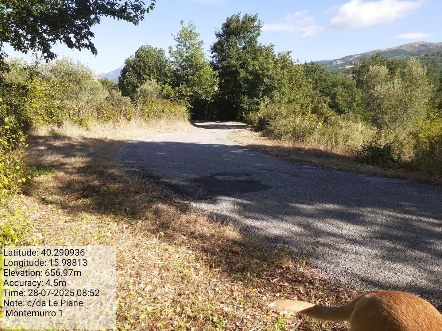 Galleria Fotografica Immagine