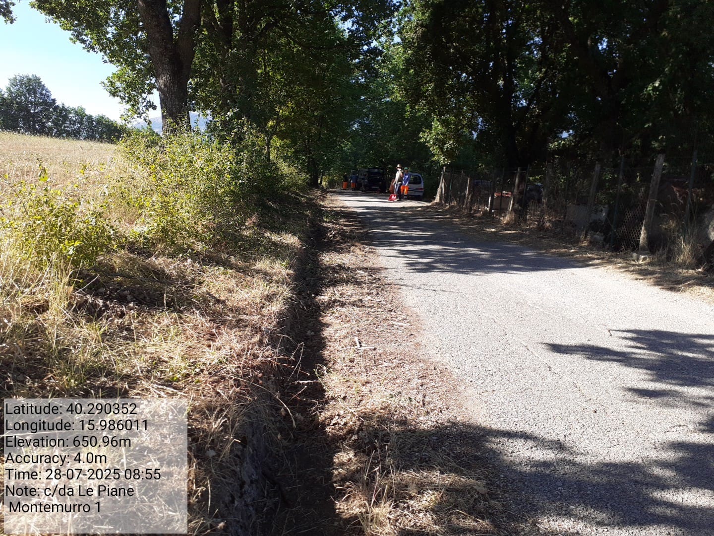 Galleria Fotografica Immagine