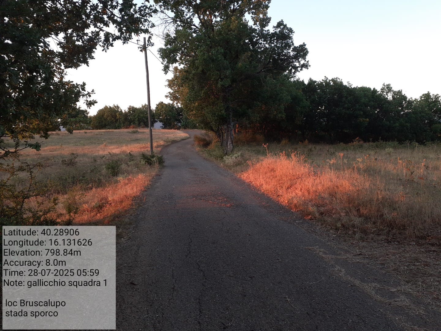 Galleria Fotografica Immagine