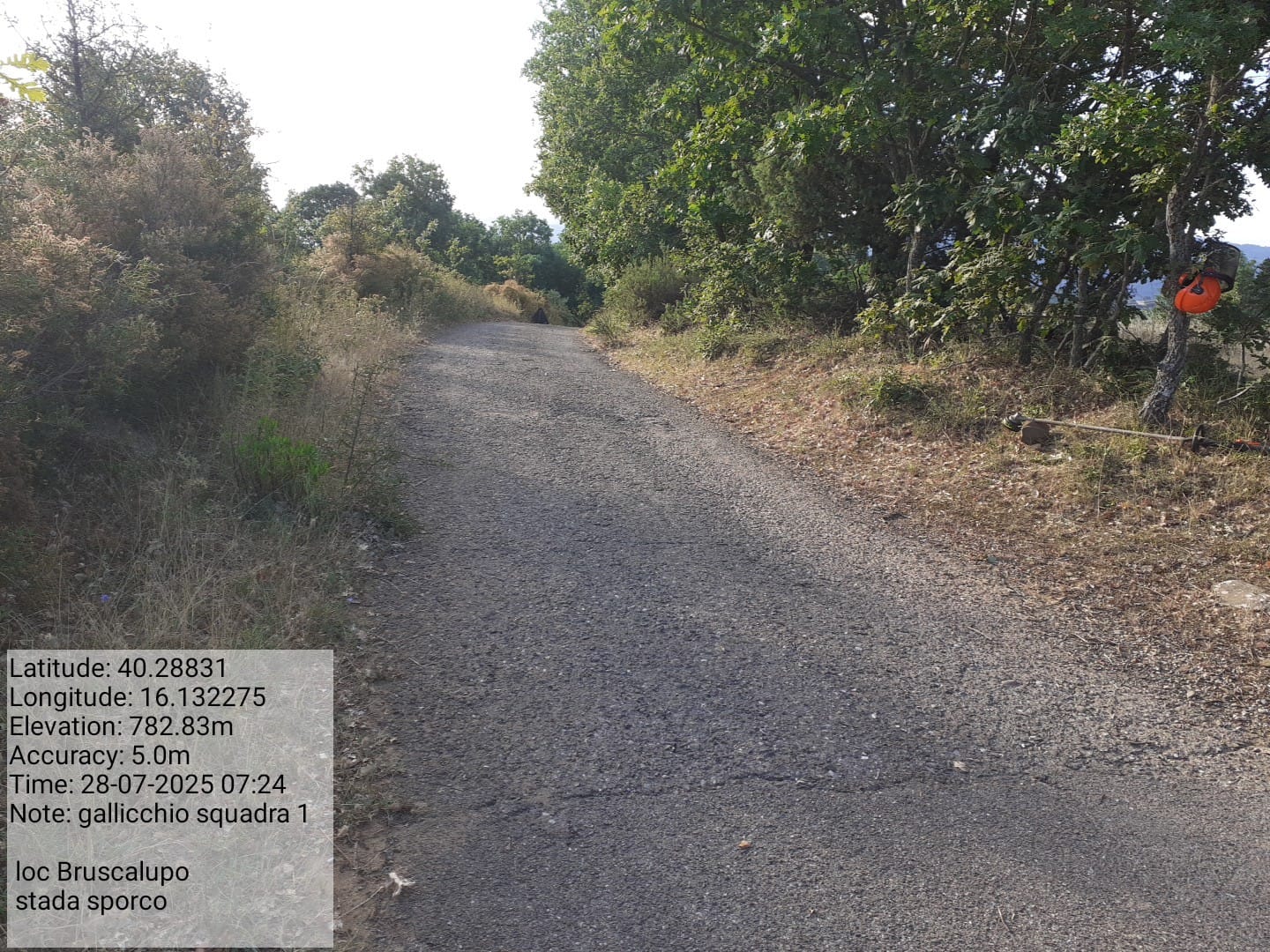 Galleria Fotografica Immagine