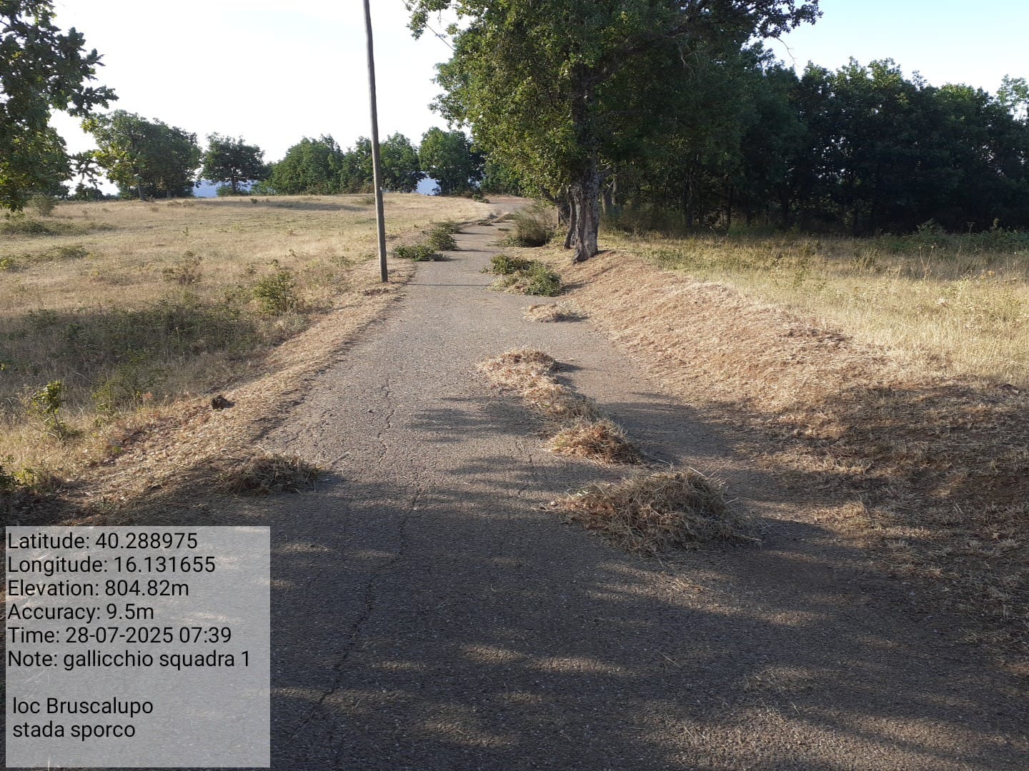 Galleria Fotografica Immagine