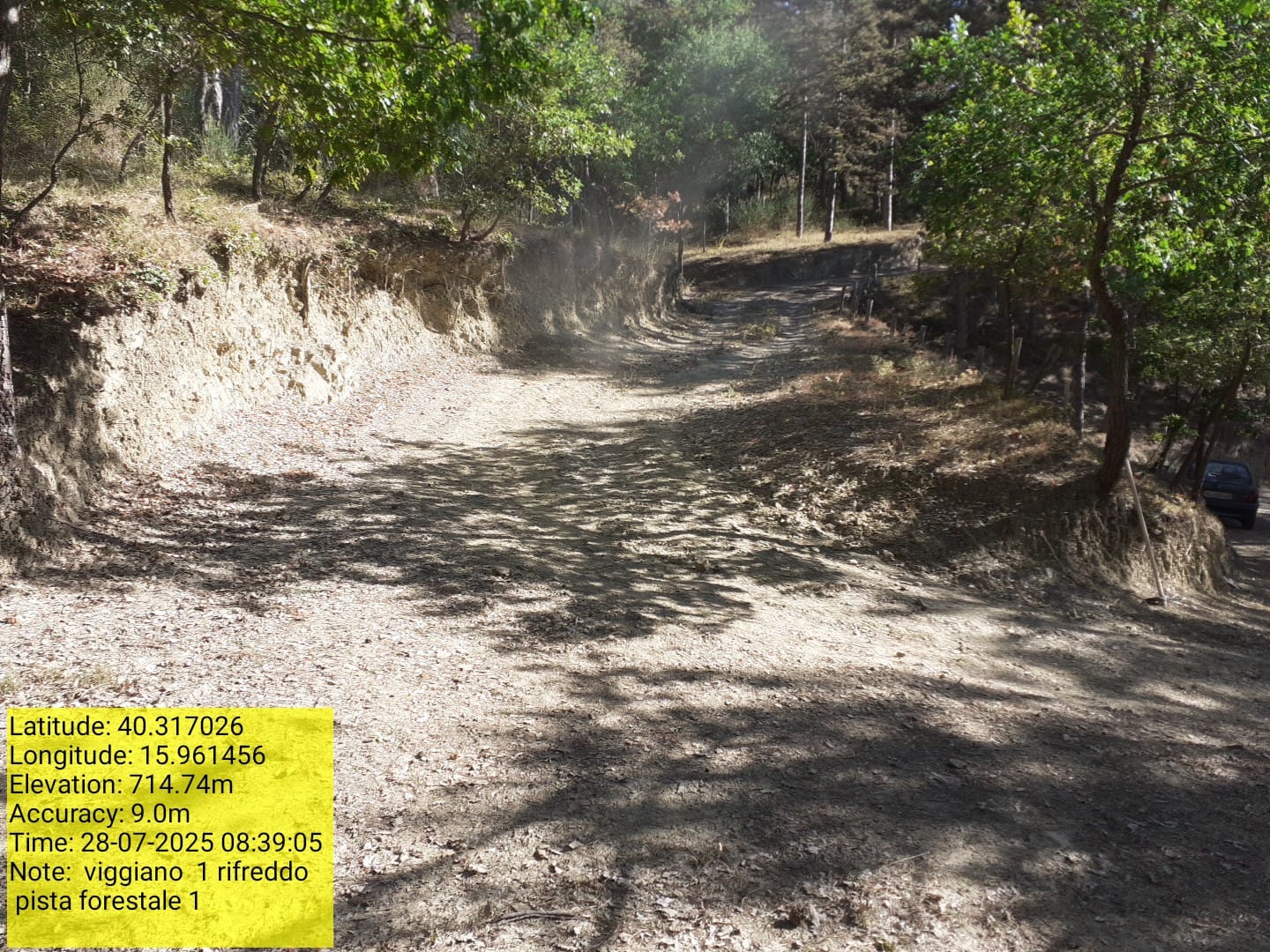 Galleria Fotografica Immagine