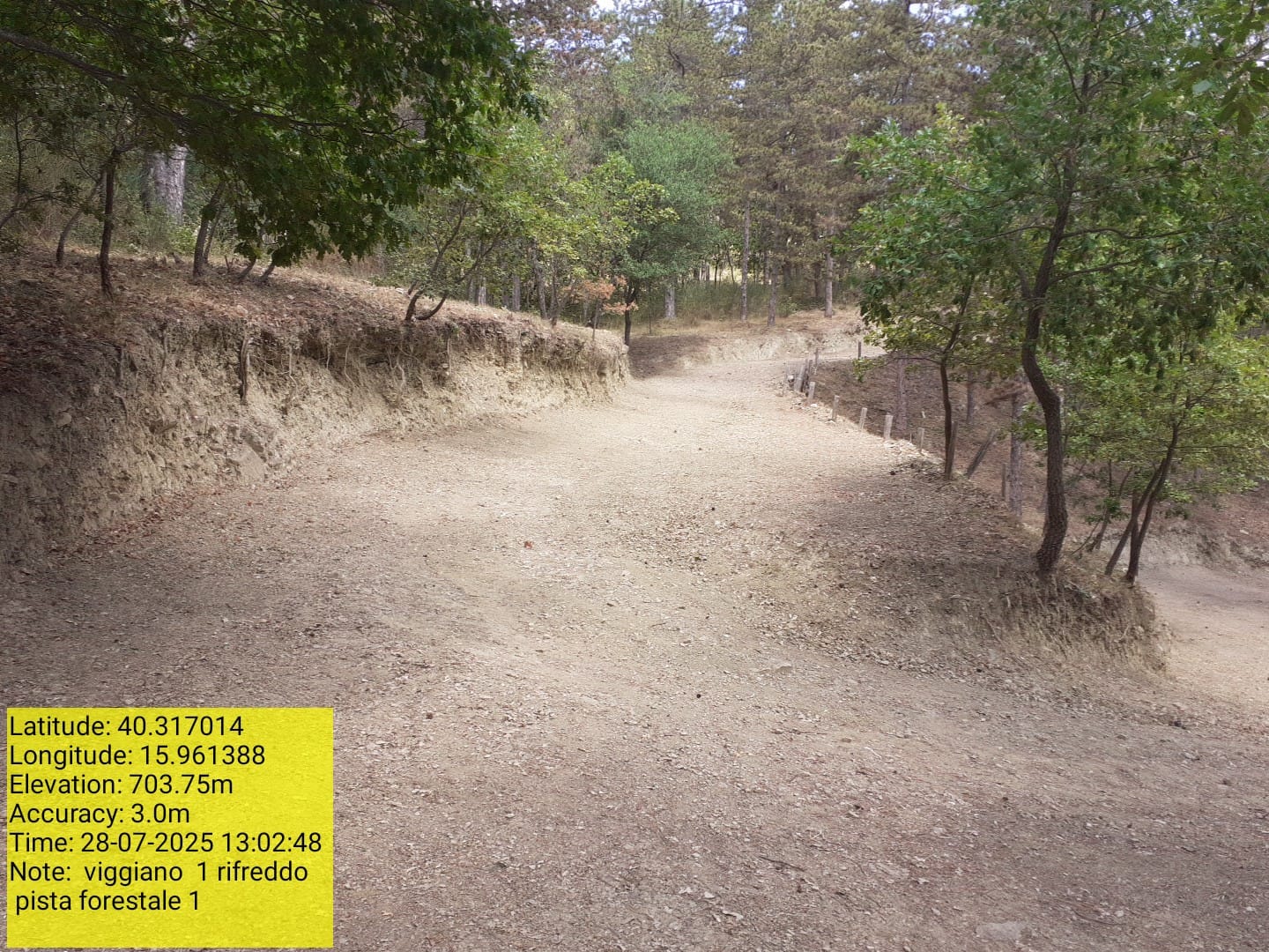 Galleria Fotografica Immagine