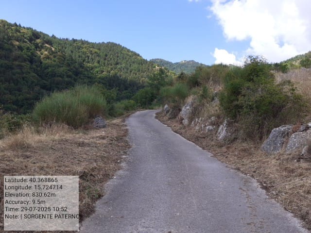 Galleria Fotografica Immagine