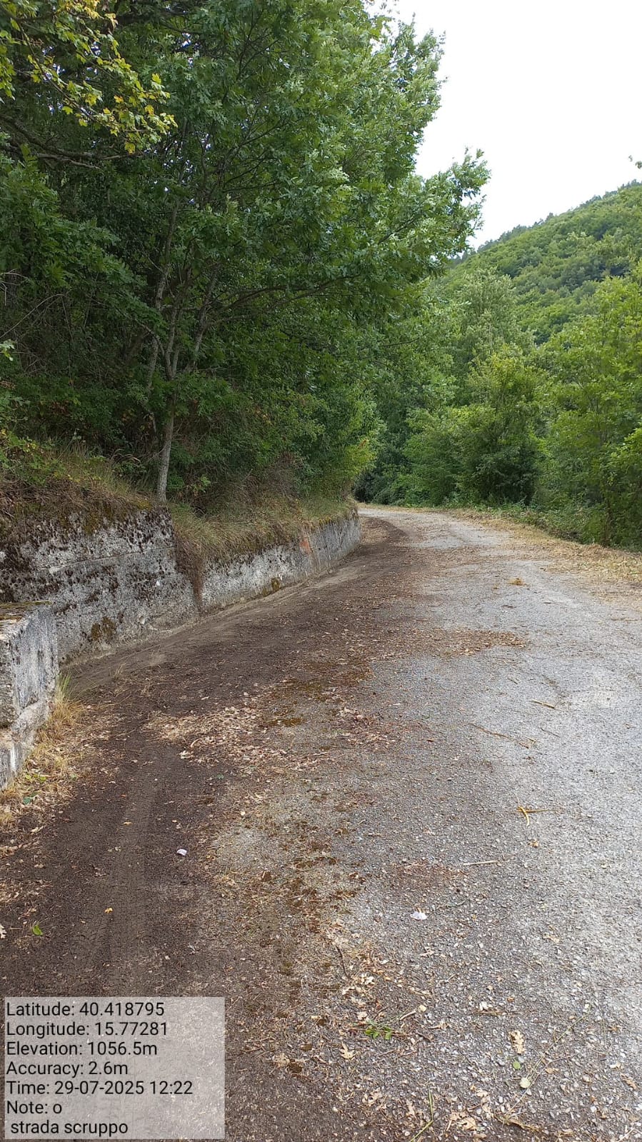 Galleria Fotografica Immagine