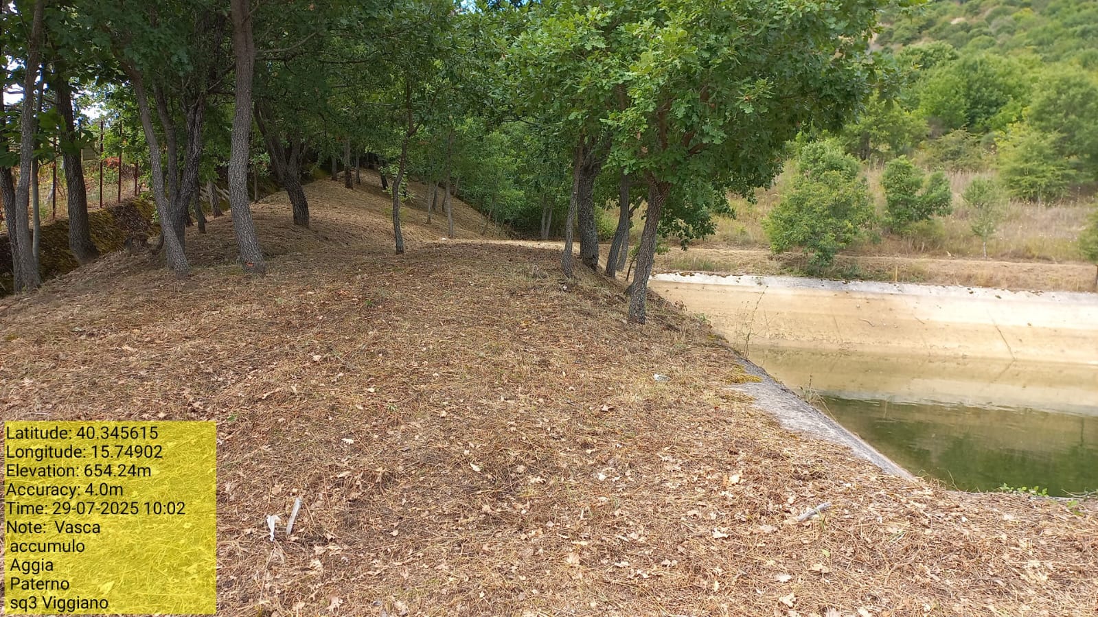 Galleria Fotografica Immagine