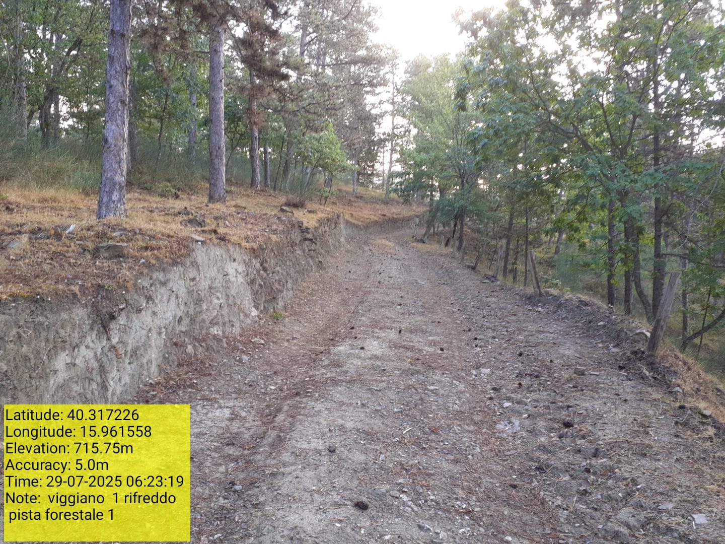 Galleria Fotografica Immagine