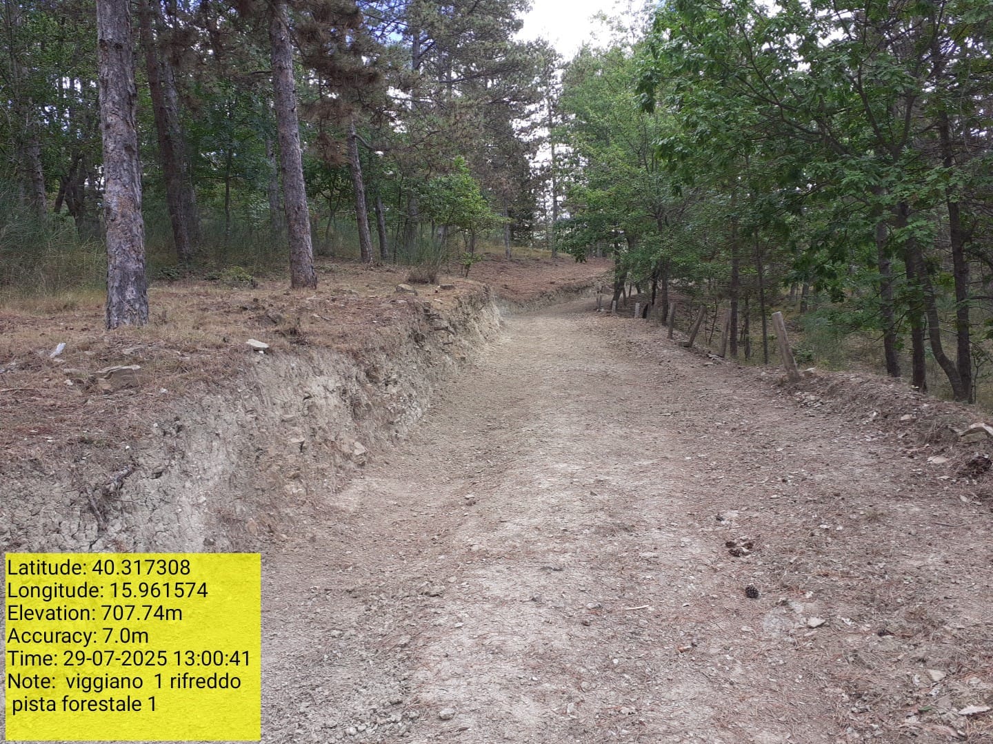 Galleria Fotografica Immagine