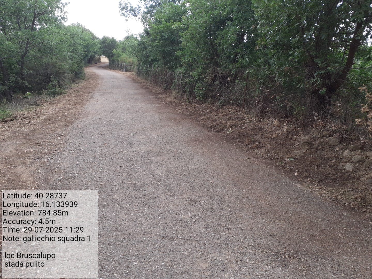 Galleria Fotografica Immagine