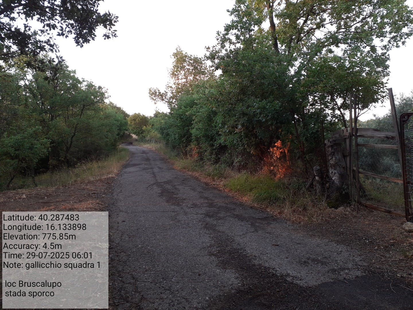 Galleria Fotografica Immagine