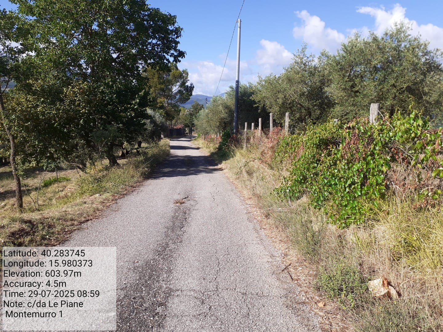 Galleria Fotografica Immagine