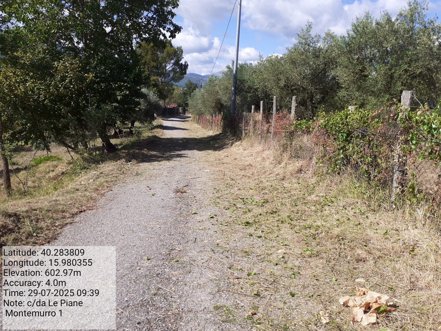 Galleria Fotografica Immagine