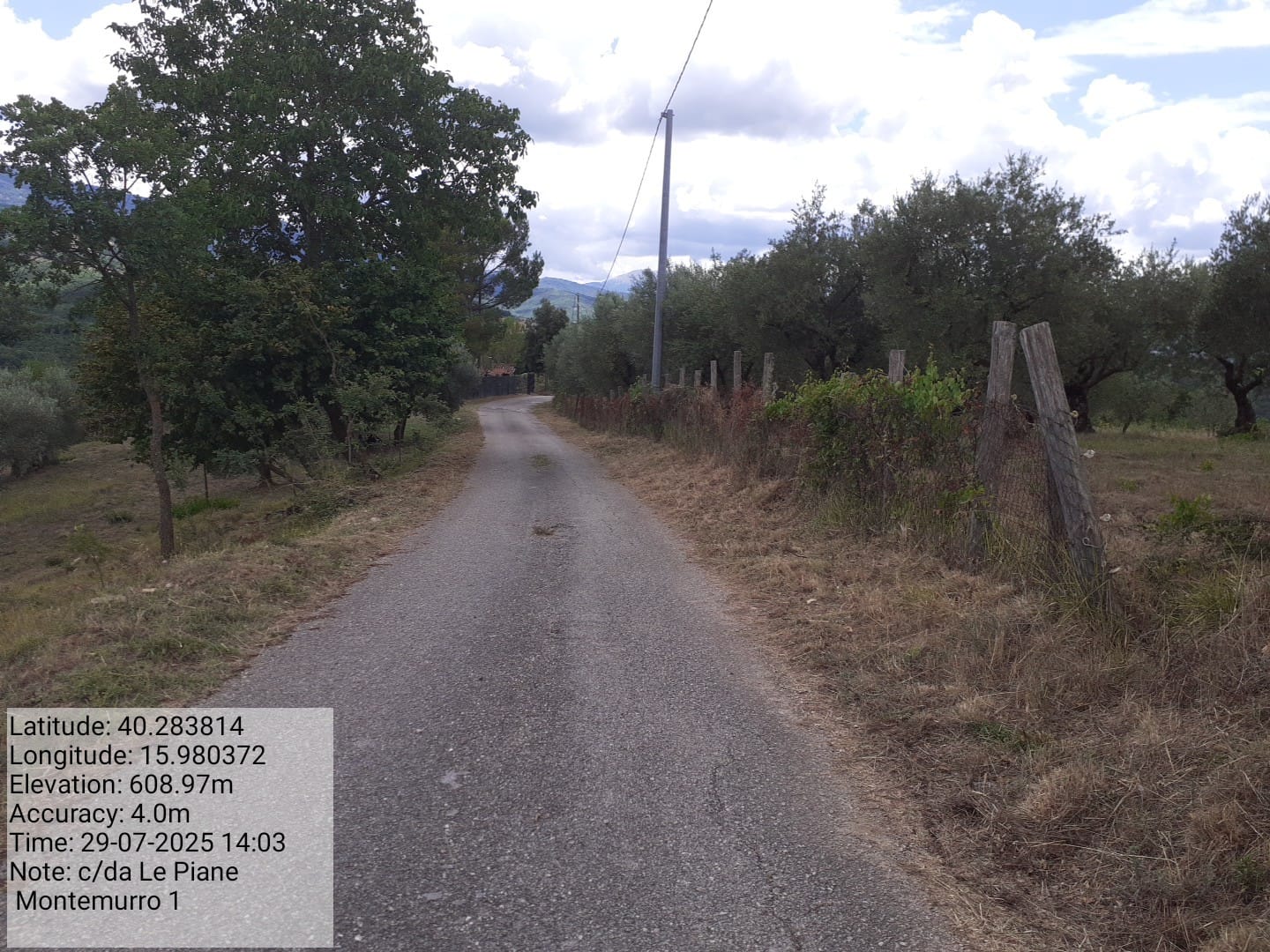 Galleria Fotografica Immagine