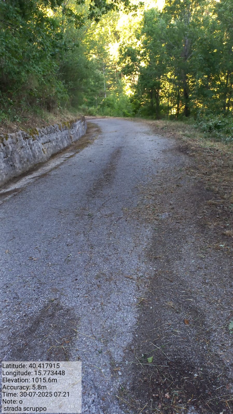 Galleria Fotografica Immagine