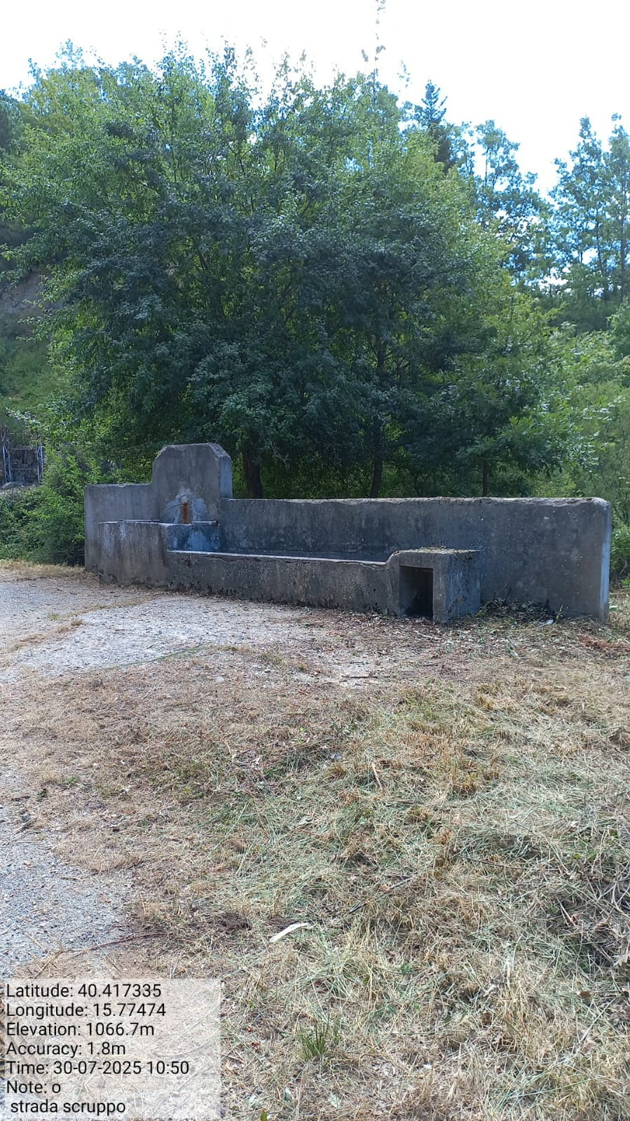 Galleria Fotografica Immagine