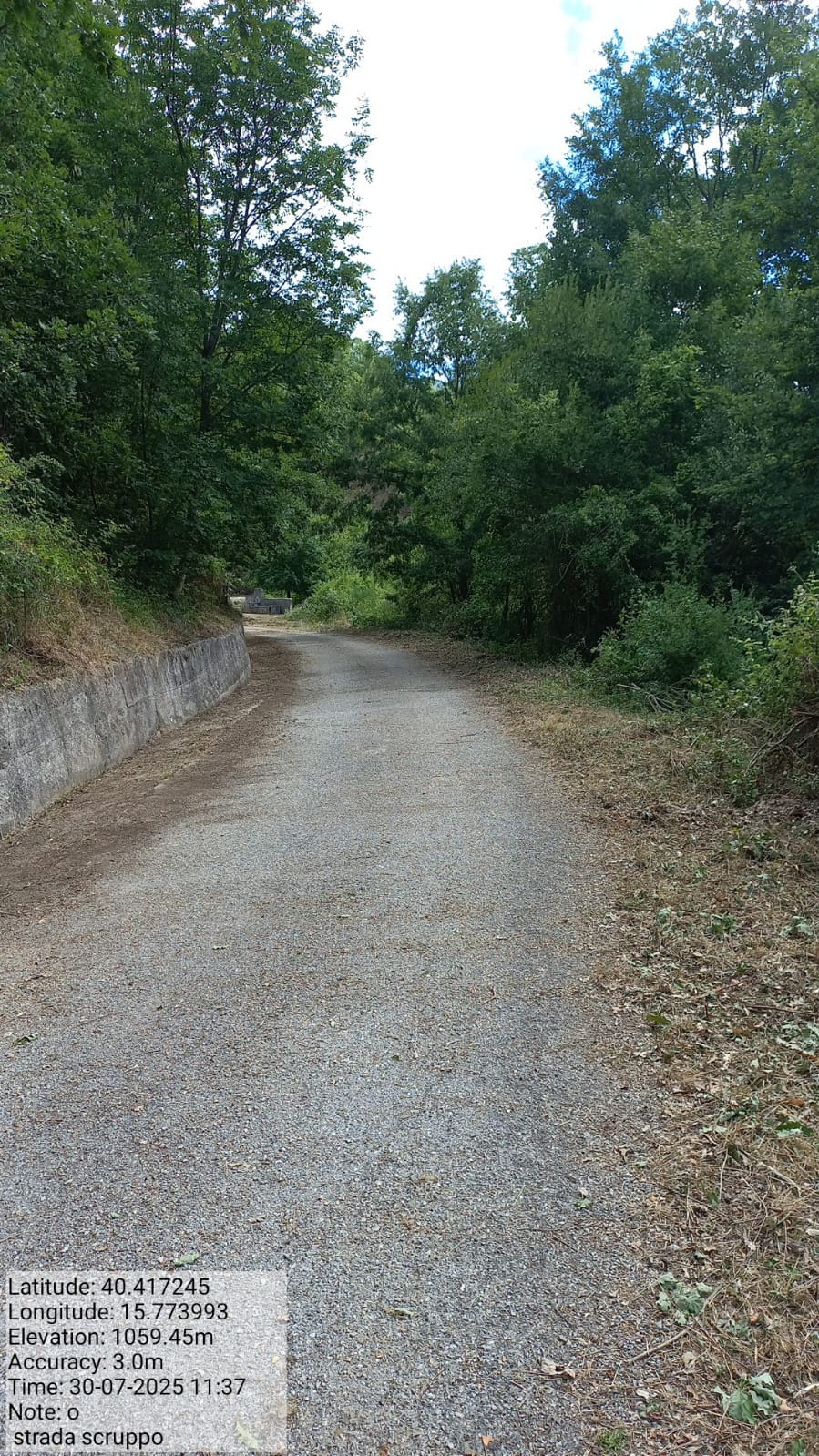 Galleria Fotografica Immagine