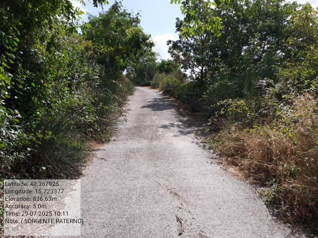 Galleria Fotografica Immagine