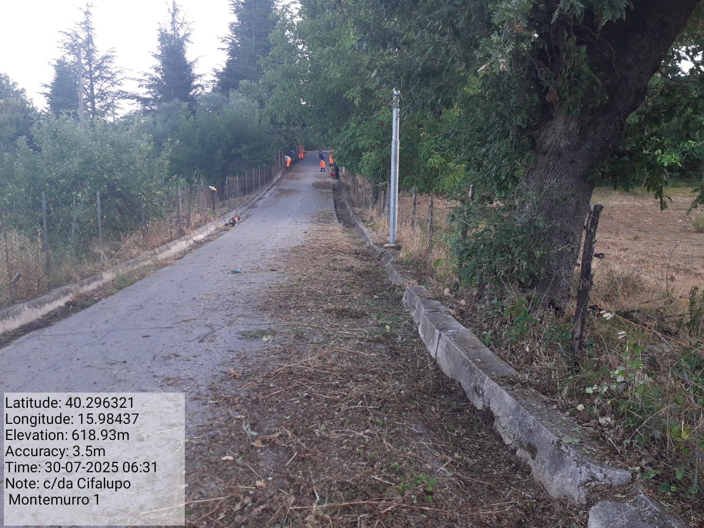 Galleria Fotografica Immagine