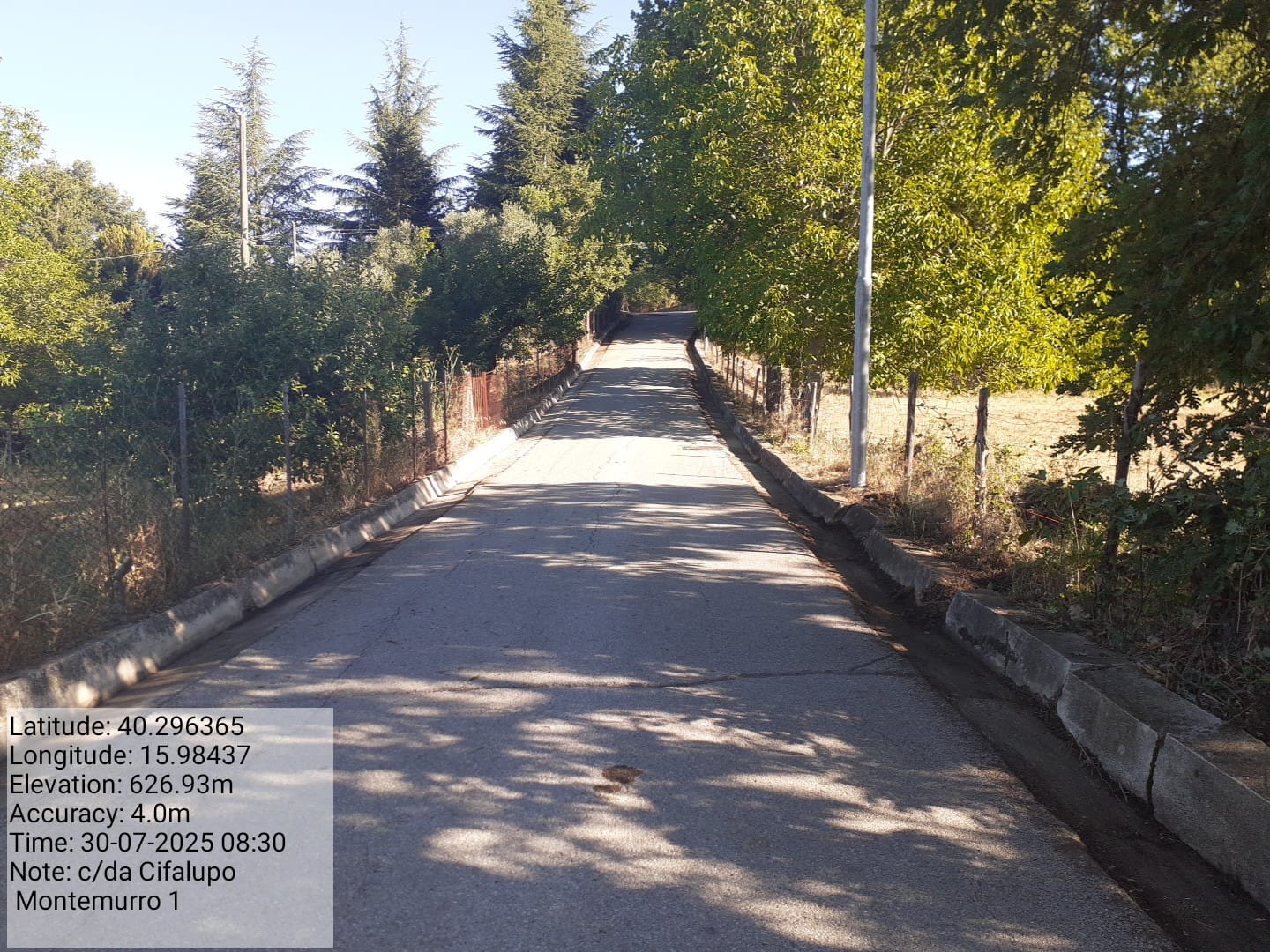 Galleria Fotografica Immagine