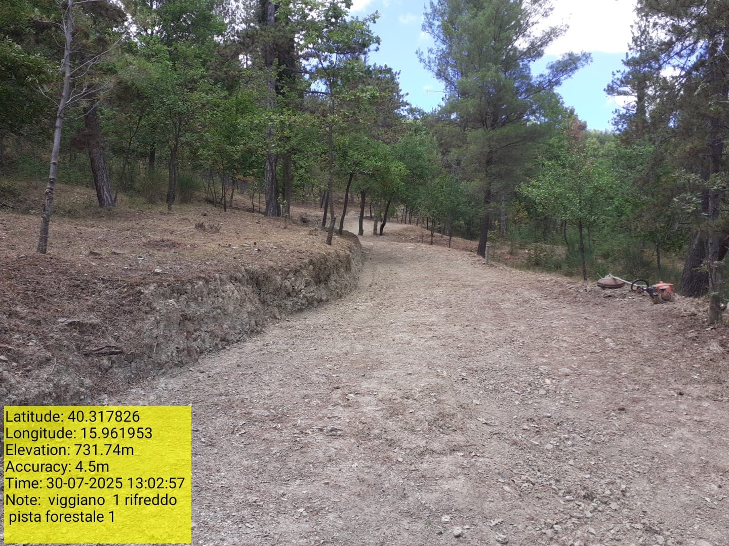 Galleria Fotografica Immagine