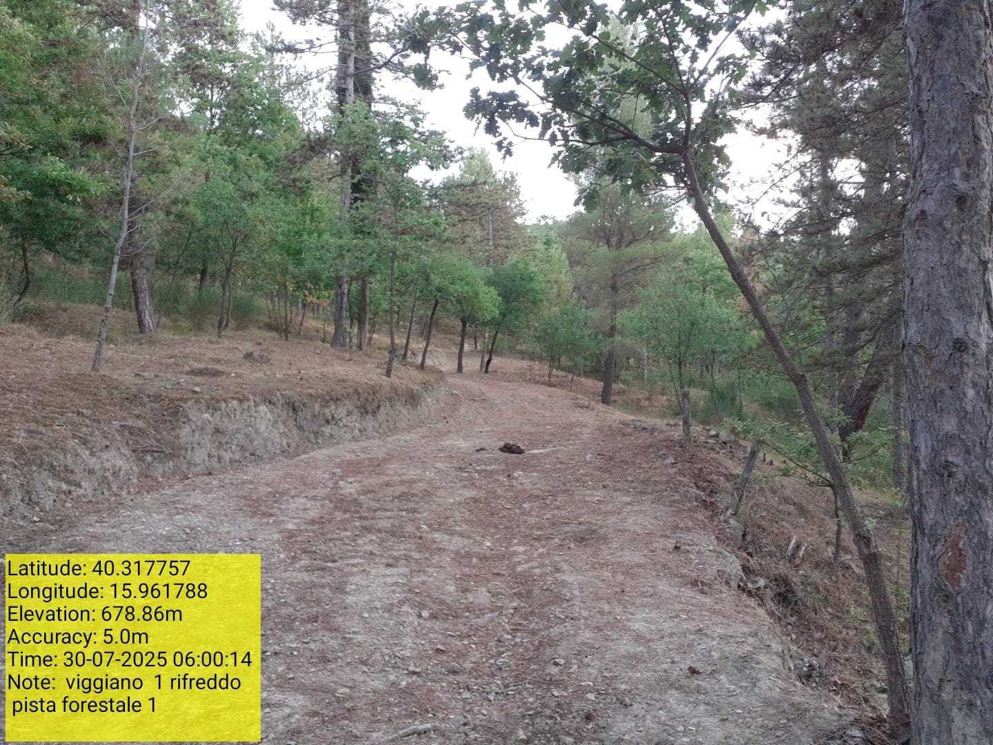 Galleria Fotografica Immagine