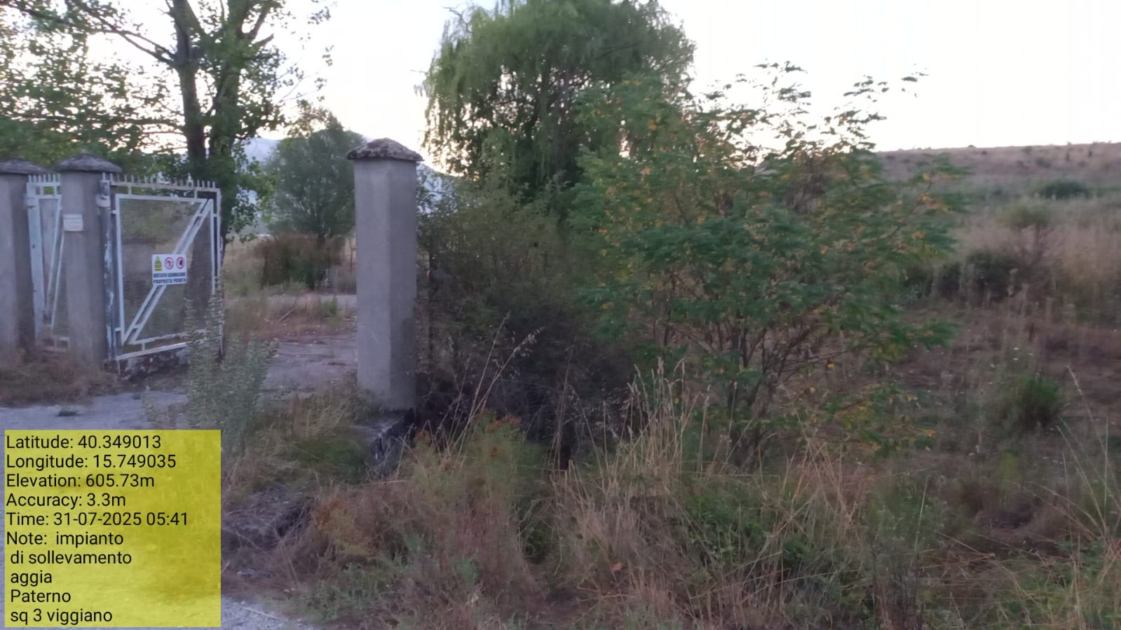 Galleria Fotografica Immagine