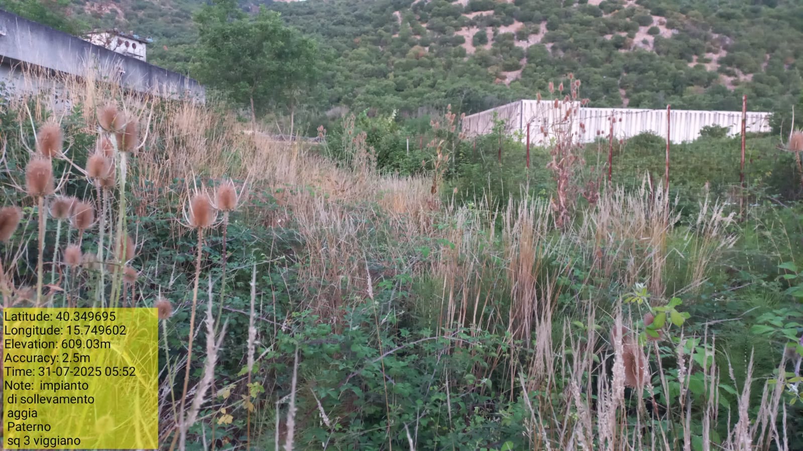 Galleria Fotografica Immagine