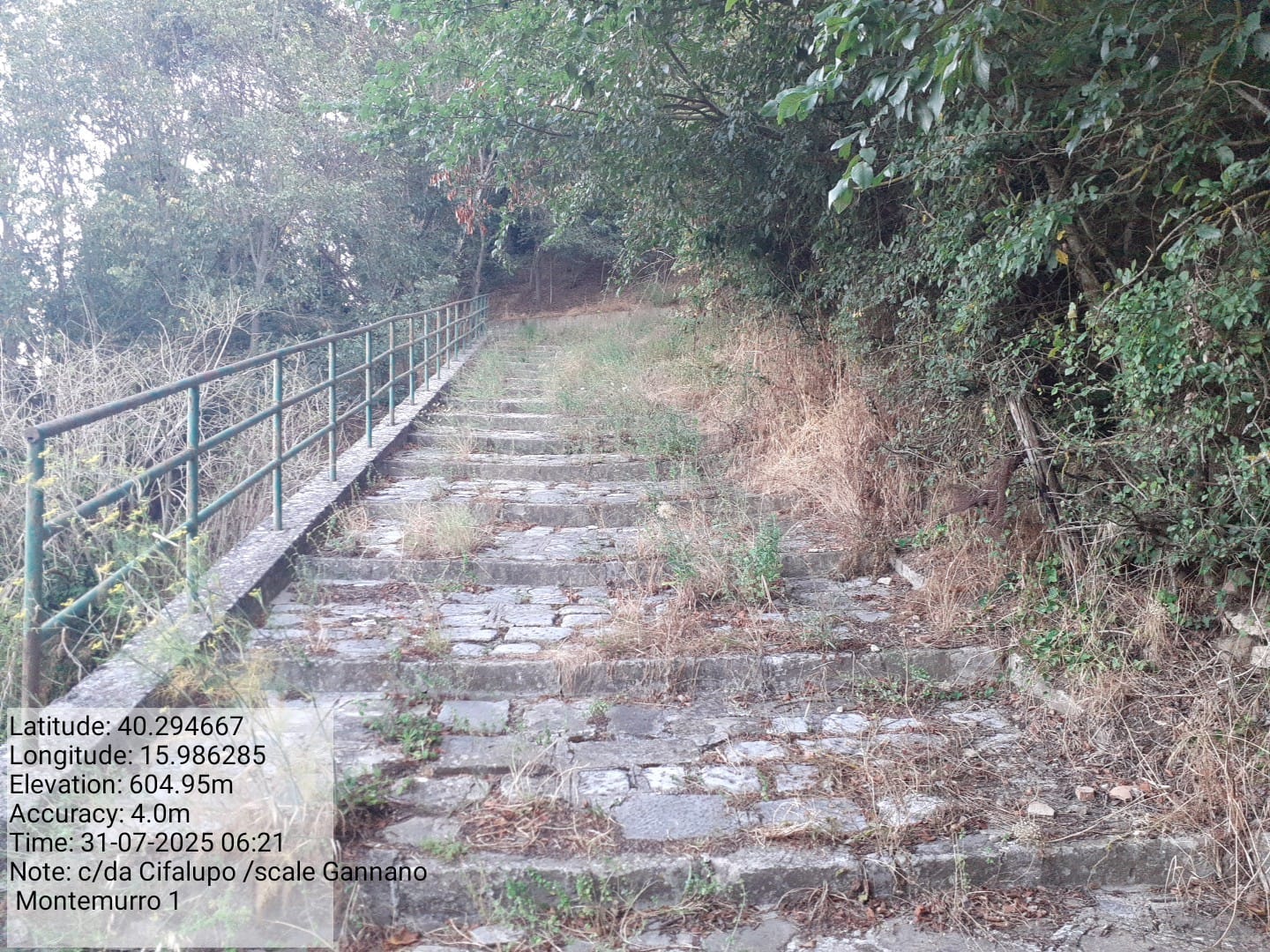 Galleria Fotografica Immagine