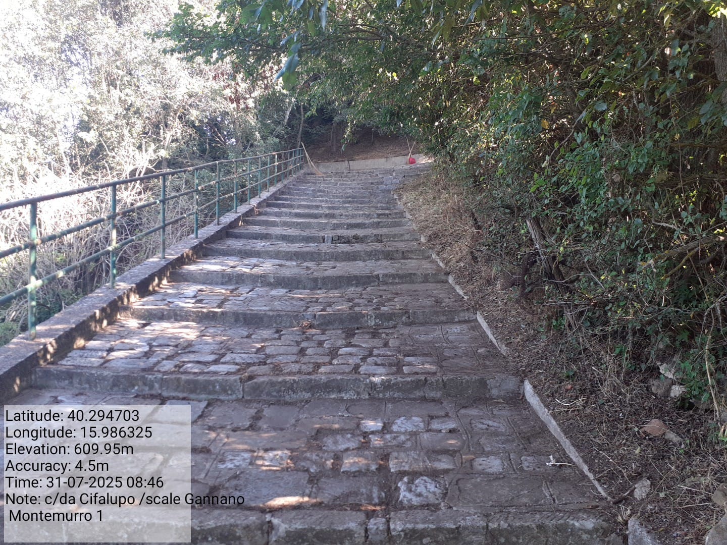 Galleria Fotografica Immagine