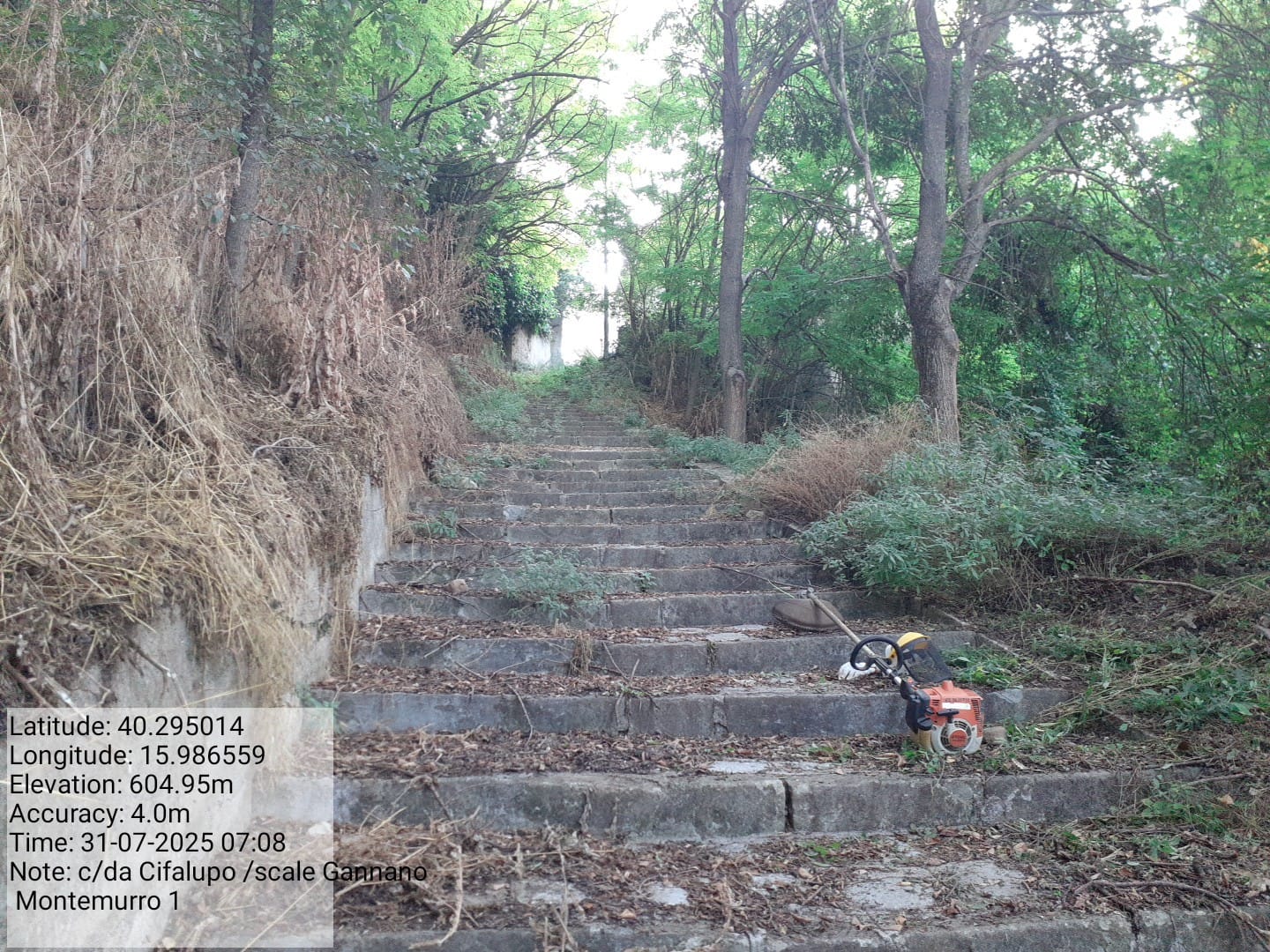 Galleria Fotografica Immagine