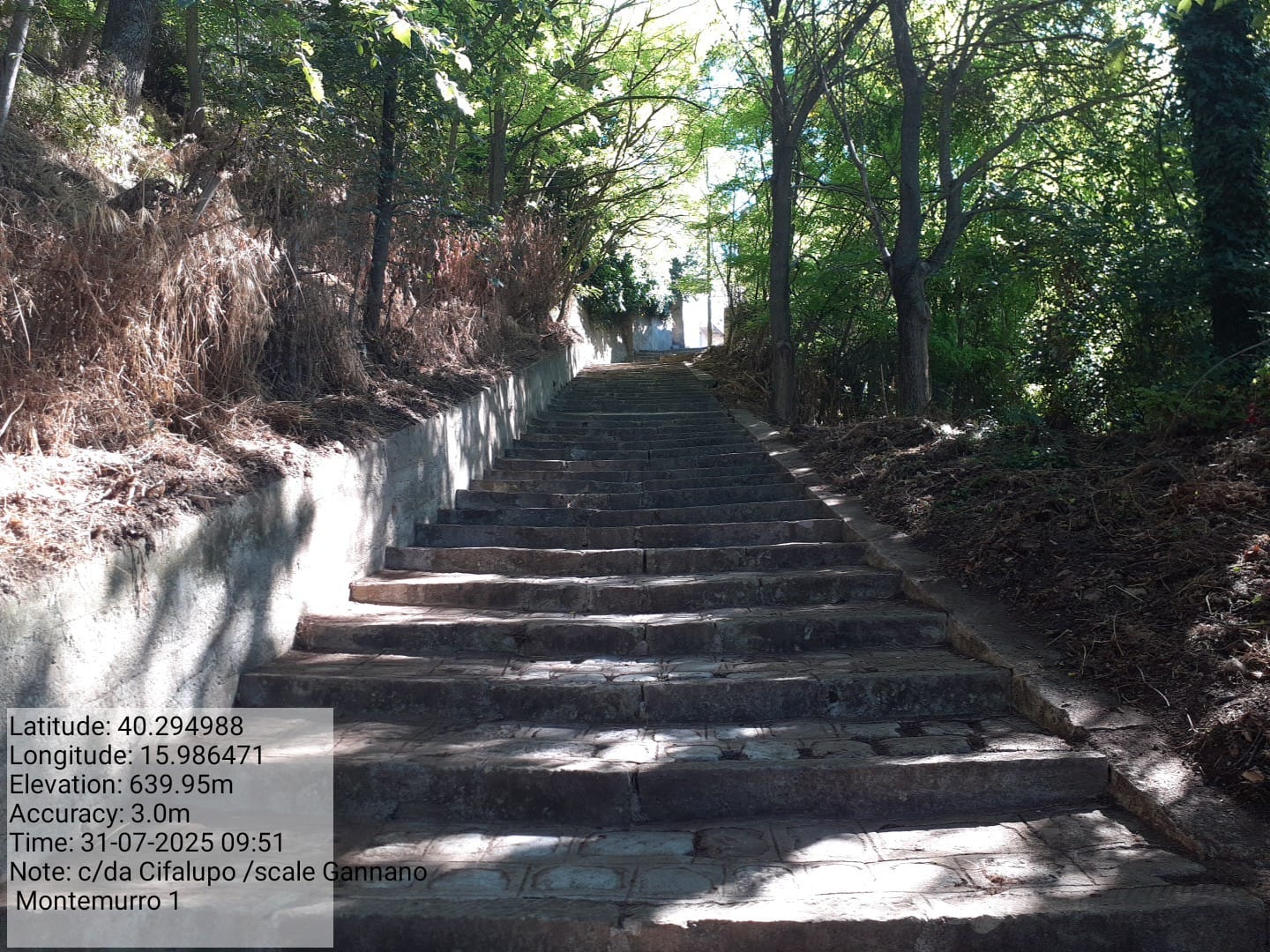 Galleria Fotografica Immagine