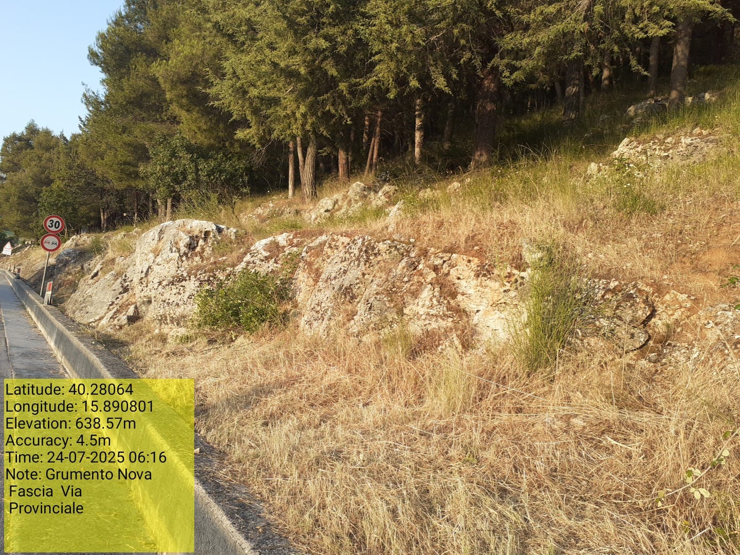 Galleria Fotografica Immagine