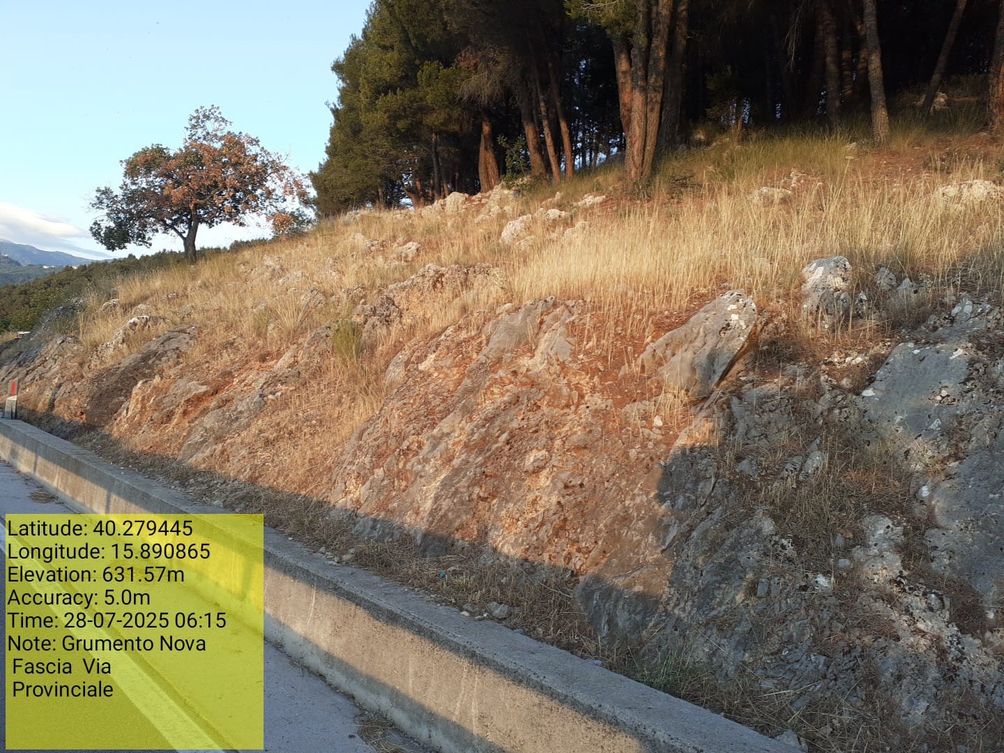 Galleria Fotografica Immagine