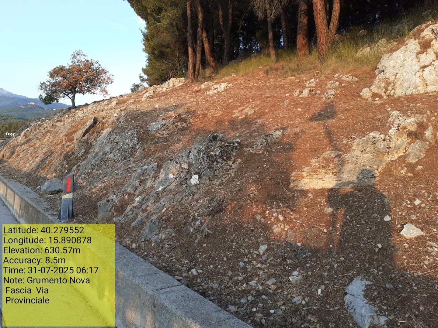 Galleria Fotografica Immagine