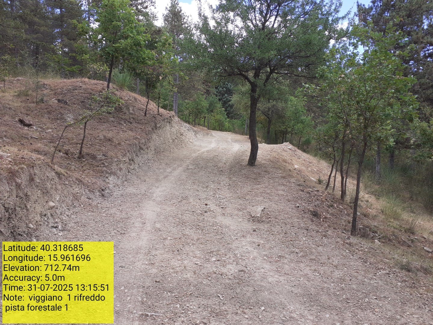 Galleria Fotografica Immagine