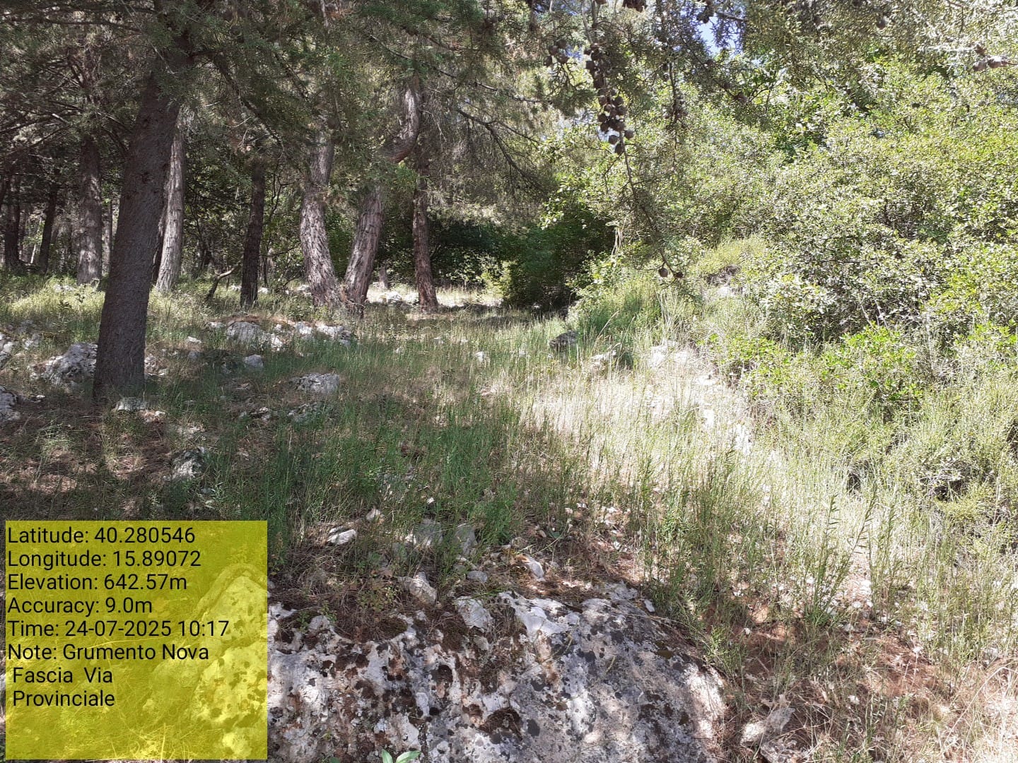 Galleria Fotografica Immagine