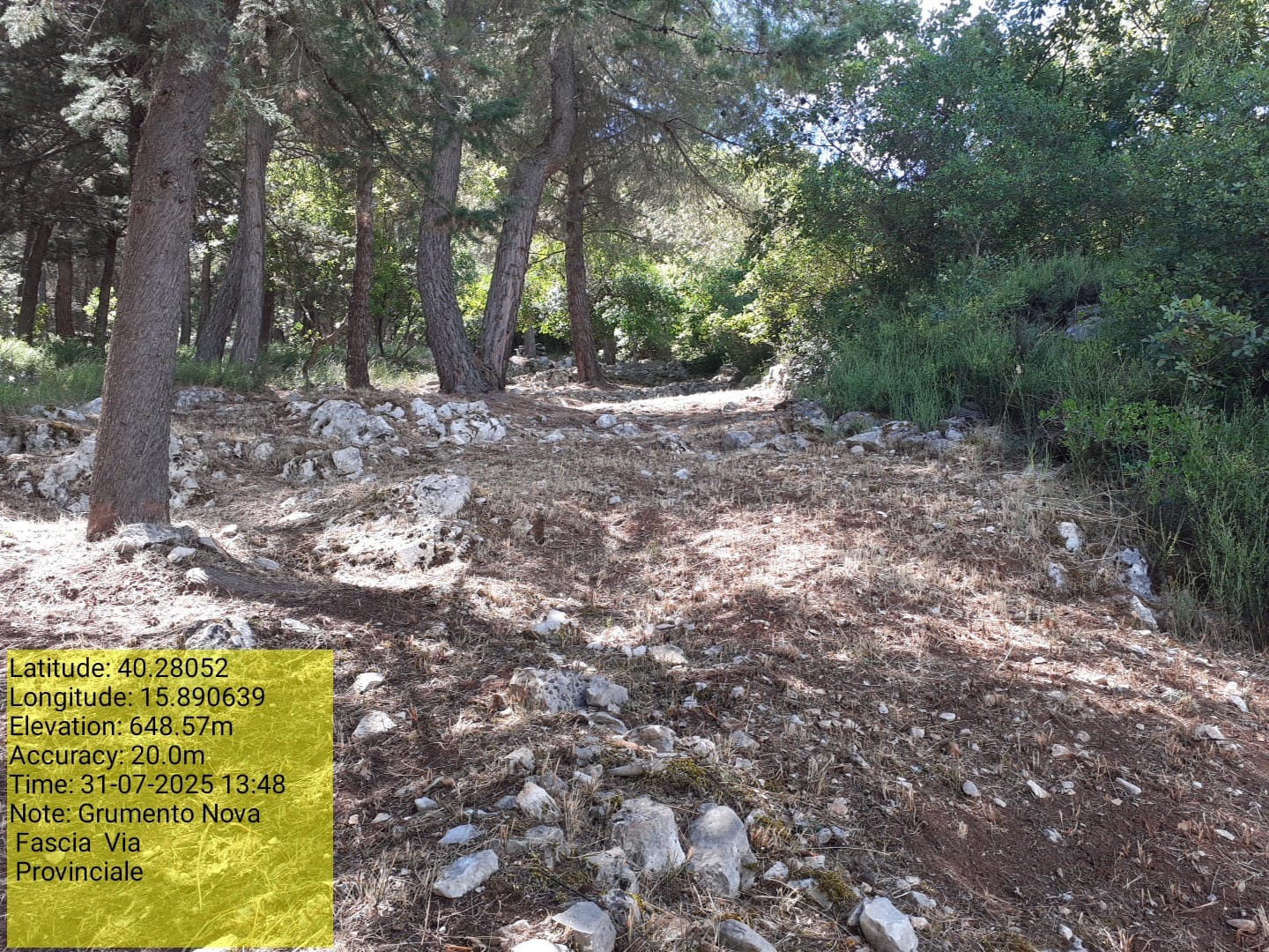 Galleria Fotografica Immagine