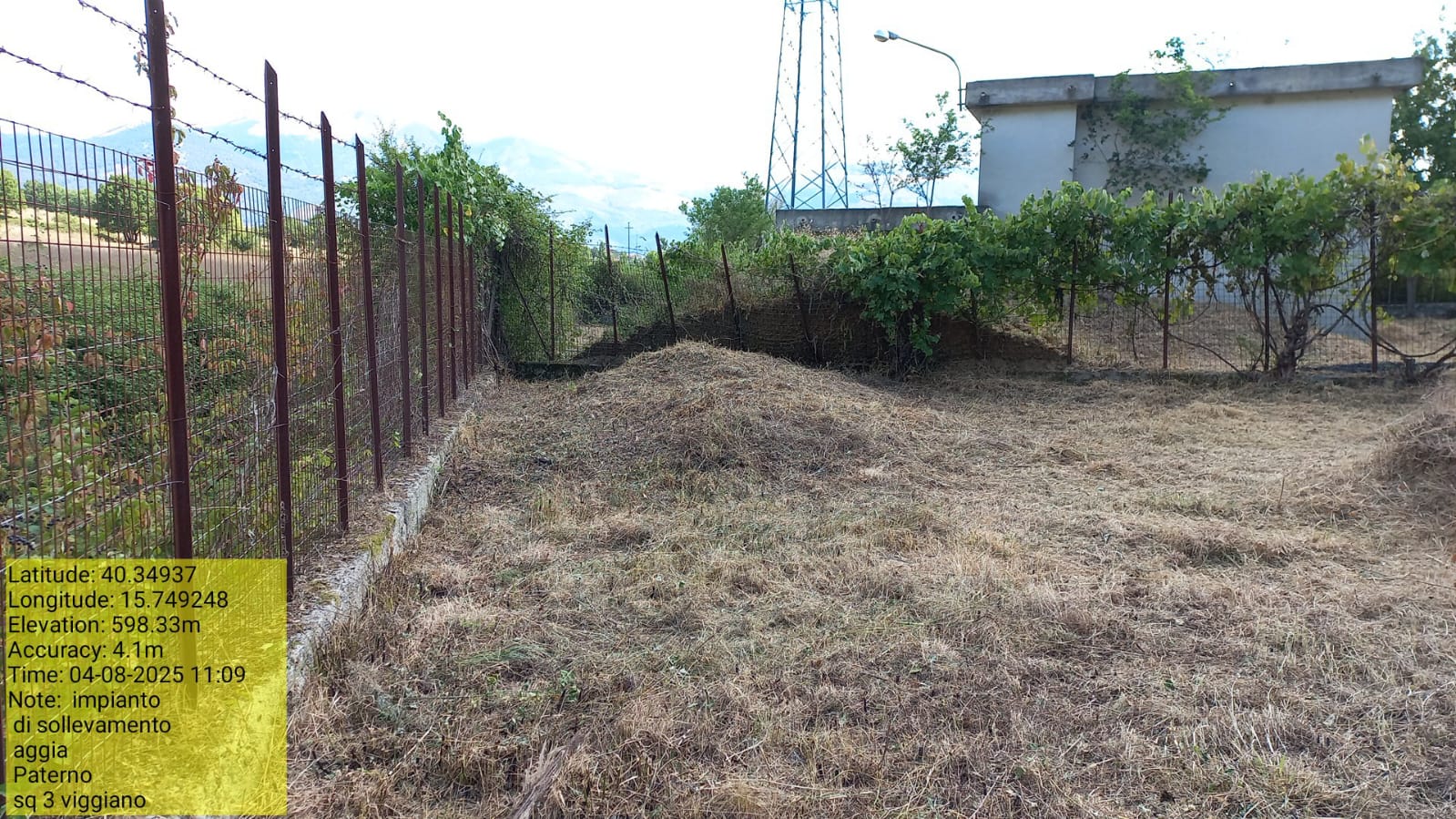 Galleria Fotografica Immagine