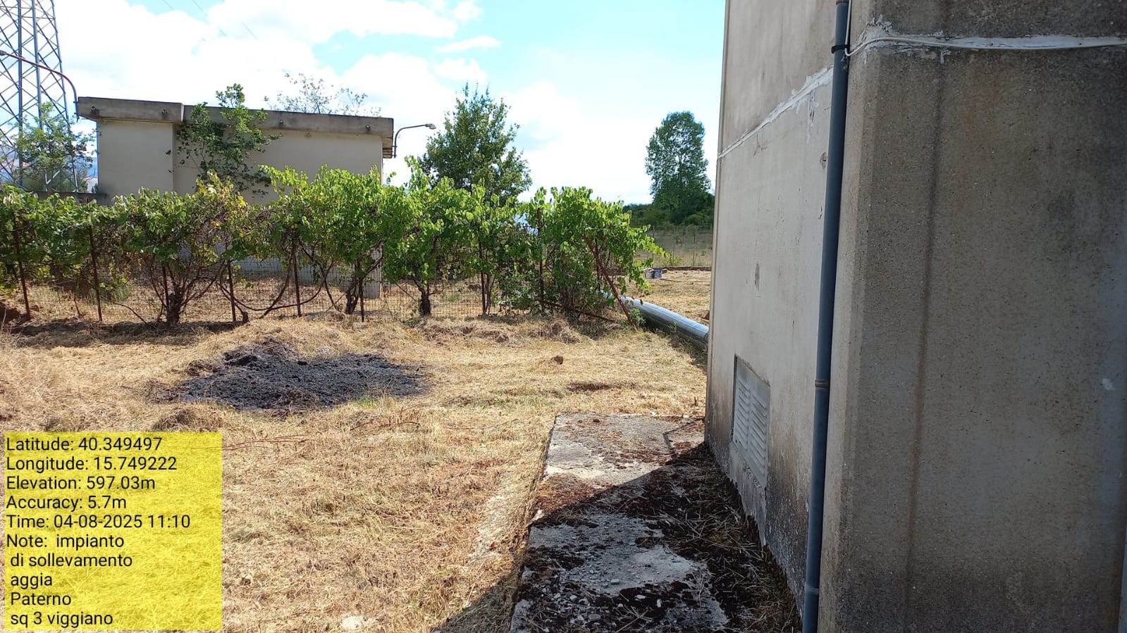 Galleria Fotografica Immagine