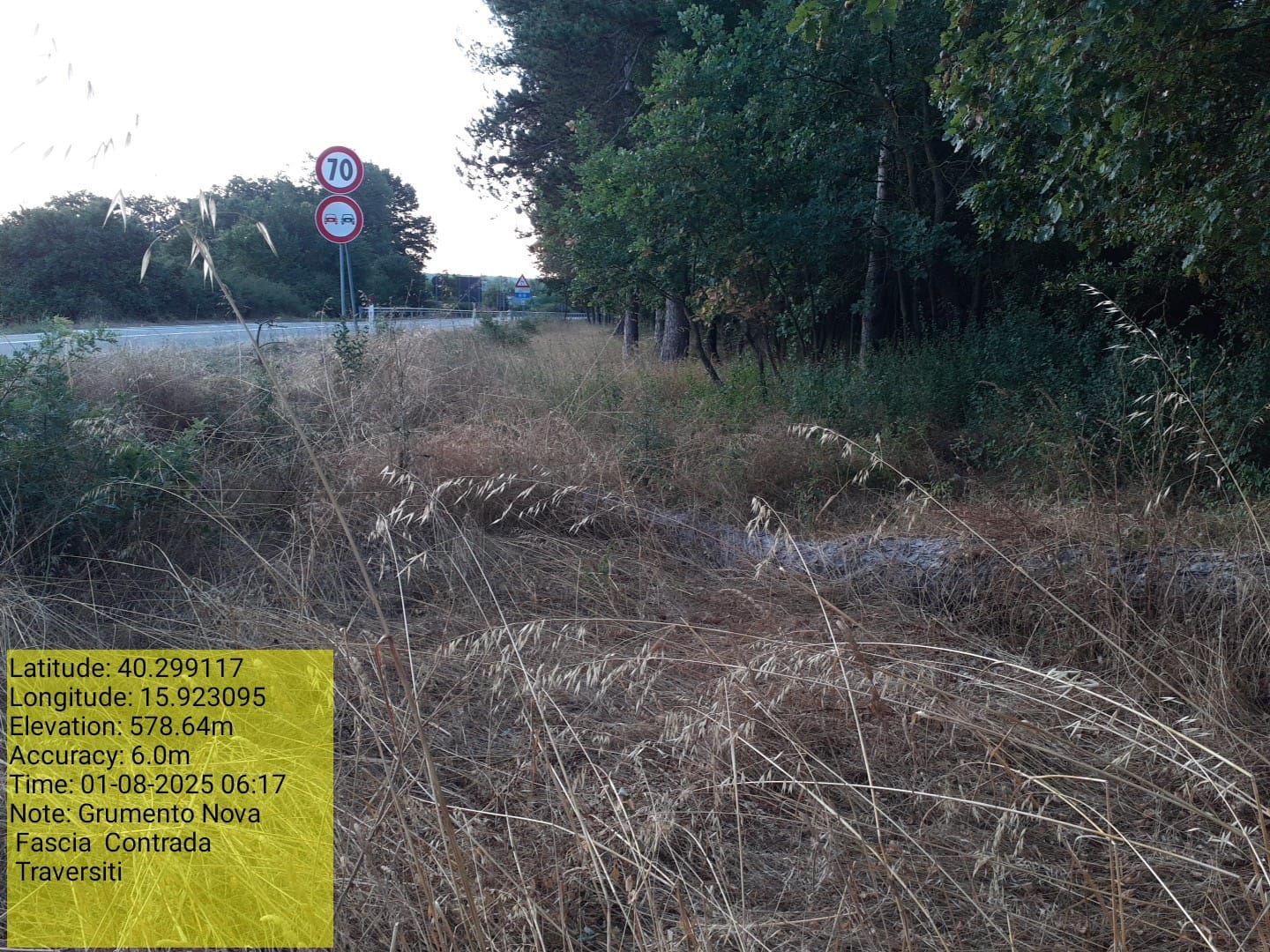 Galleria Fotografica Immagine