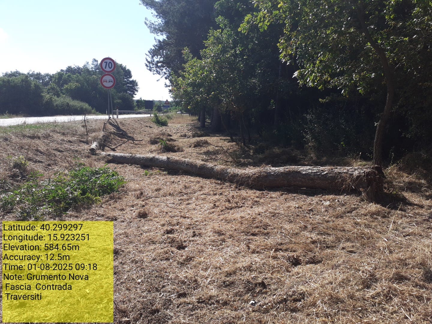 Galleria Fotografica Immagine