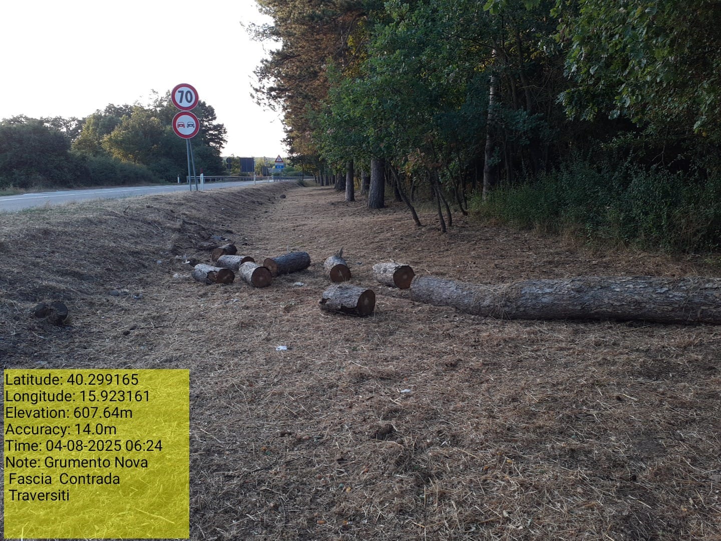 Galleria Fotografica Immagine