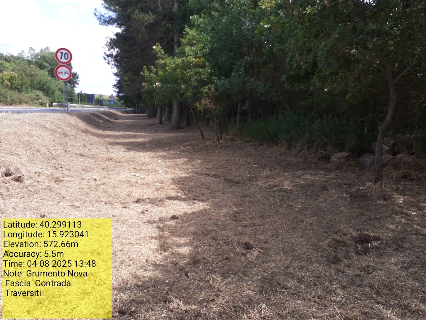 Galleria Fotografica Immagine