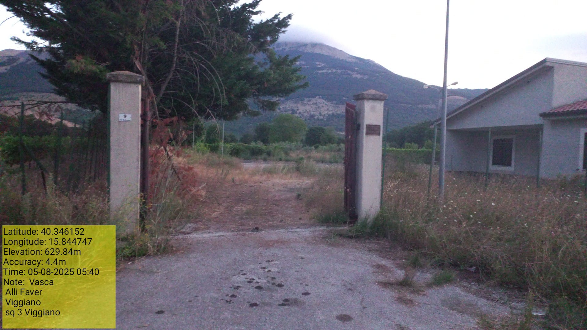 Galleria Fotografica Immagine